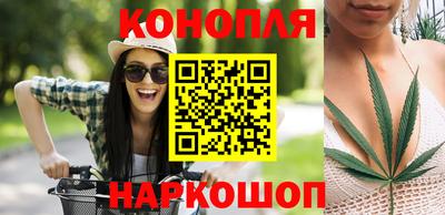 крисы Бузулук