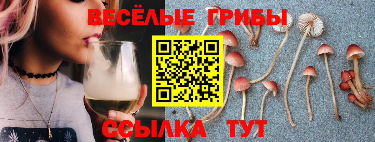 Строитель  Галлюциногенные грибы Magic Shrooms  Вход с VPN 
